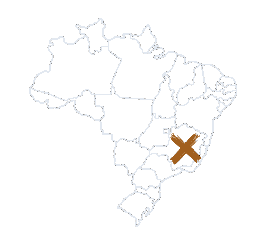 Mapa de atuação N2X - Foco em Minas Gerais